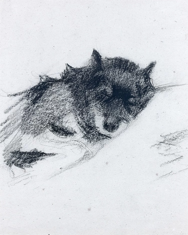 Studio sui cani